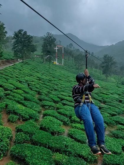 Ziplining over the lush tea gardens in Wayanad. It's an adrenaline rush with an incredible view!