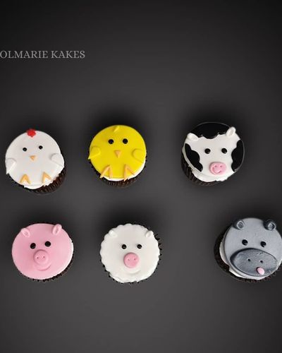 Designer Cupcakes