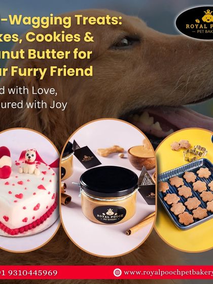 Here you can see a beautiful heart-shaped cake, a jar of my pet-safe peanut butter, and freshly baked cookies. I believe in baking with love and creating treats that you can feel good about giving to your furry family.