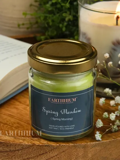 For those who prefer a simpler look, my 'Spring Meadow' jar candle offers a fresh, clean scent in a beautiful green wax.