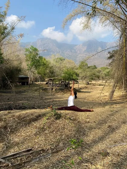 Staring at the stars and watching animals be themselves is a profound experience. This moment of practice in nature, holding Hanumanasana, filled my heart with a sense of peace and connection.