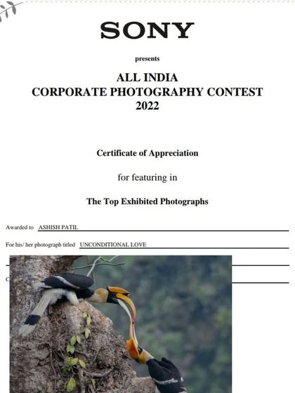 My shot of the Great Hornbills, titled 'Unconditional Love', was the third of my photographs to be selected for the exhibition, celebrating a moment of natural intimacy.