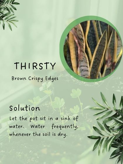 Hygrinz - Garden Maintenance Gardening Know-How: Tips & Techniques photo 26