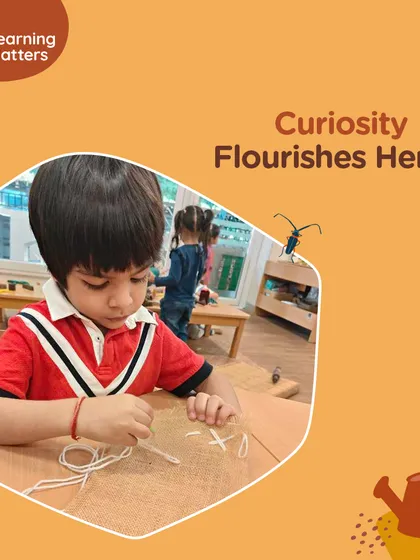This series of graphic posts highlights our core values and beliefs: from the power of curiosity, wonder, and joy to the importance of agency, creativity, and multisensory learning.