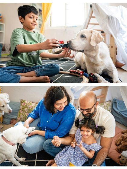 A collage showing the beautiful chaos of a family with two kids and two dogs. A boy plays with the senior lab Shelby, while the whole family, including a younger child and another pup, gathers for a playful moment.