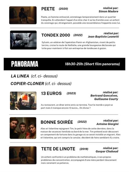 The evening schedule for the short film festival, featuring a "Panorama" of diverse shorts. We offer back-to-back screenings, creating a true festival atmosphere for film lovers.