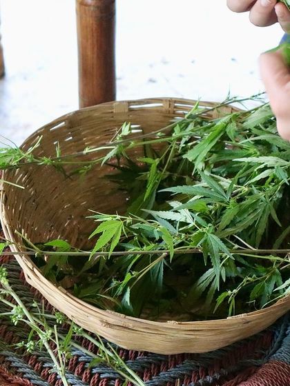 Farmus - Farm Day Out Experience Special Workshops & Seasonal Fun photo 13