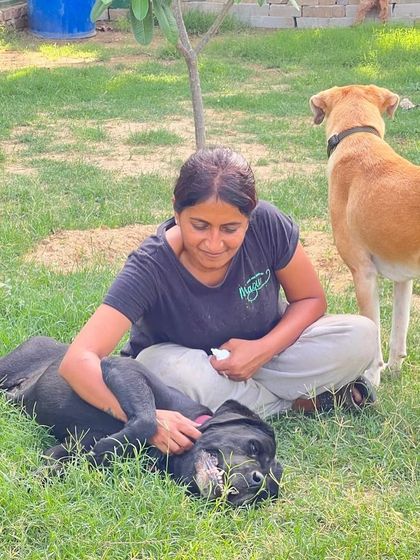 We care for your fur babies as if they were our own. Here, Asha gives a relaxing belly rub to a black dog enjoying the grass. We manage everything from specialized diets to medication, ensuring expert care that only fellow dog parents can provide.