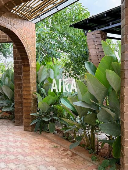 Lush, large-leafed plants thrive alongside a brick walkway and arched colonnade. This image shows a follow-up visit to an old project, demonstrating the longevity of my sustainable designs.