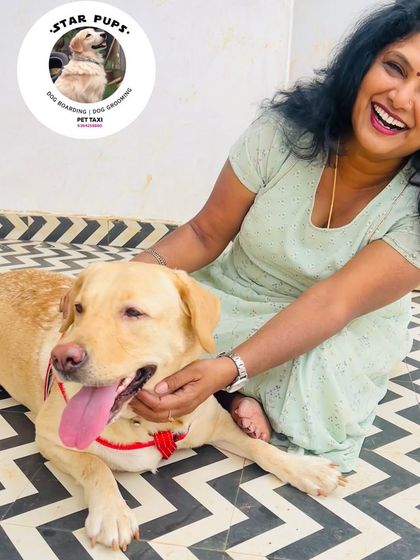 Star Pups - Pet Grooming Our Furry Friends & Family photo 18