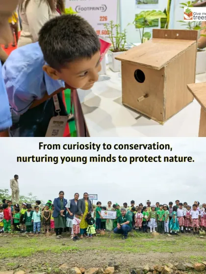 From curiosity to conservation. A young student examines a birdhouse at one of our events, while another image shows a large group of school children at a plantation site. Our goal is to spark a lifelong interest in the environment.