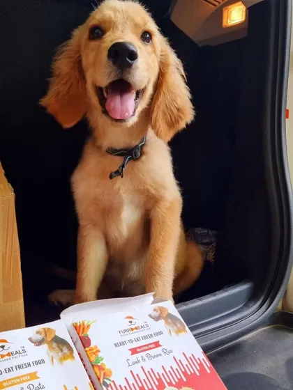A happy, open-mouthed smile from a puppy who knows she's about to eat well. My ready-to-eat fresh food makes mealtime exciting and nutritious.