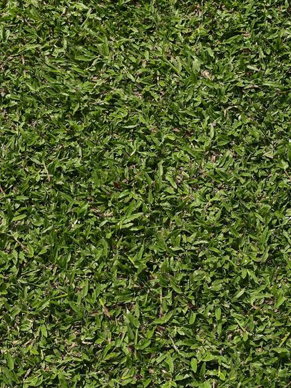 Rakshith Landscaping - Landscape Design & Installation Lush Lawns: Natural & Artificial photo 7