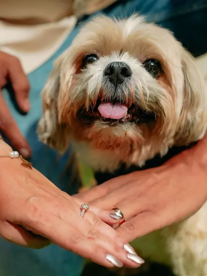 A heartwarming detail shot featuring the couple's hands, their engagement rings, and their adorable dog. This is a perfect way to include the whole family in your special announcement.