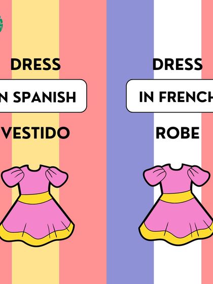 'Dress' is another word that differs between the two languages. It's 'vestido' in Spanish and 'robe' in French.