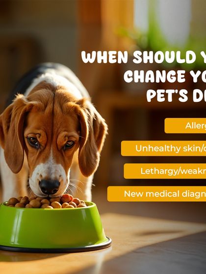 Oh My Pet - At-home Pet Grooming Pet Health & Safety Gyaan photo 13