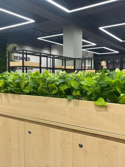 Some projects are very special. We installed these long planter boxes with artificial greenery on top of cabinets in an office, adding life to the workspace.