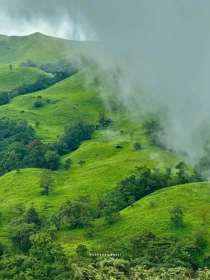 The rolling green hills of Netravathi Peak, with clouds gently touching the slopes, a classic Western Ghats view.