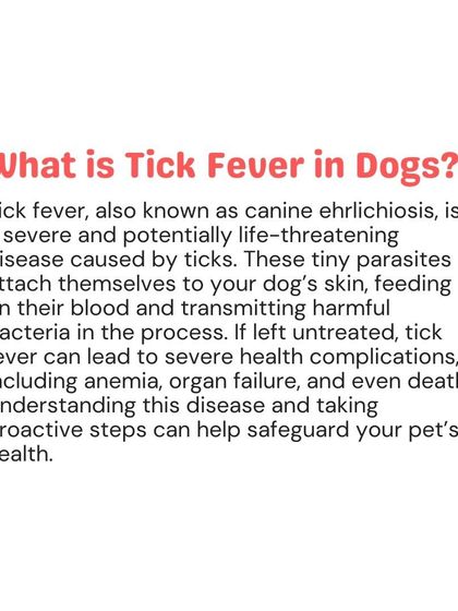 Woofly - Home Veterinary Services Parasite Prevention: Ticks, Fleas & More photo 5