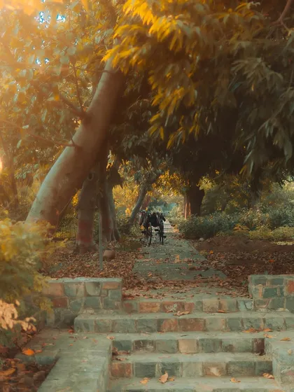A peaceful scene from Sunder Nursery, with a person on a wheelchair enjoying the autumn colors. This photo is about finding tranquility and beauty in everyday moments.