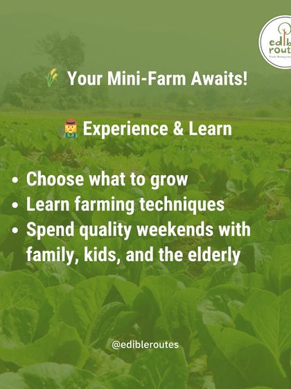 With a Farmlet subscription, you get to experience and learn. You can choose what to grow, learn organic farming techniques from our team, and spend quality weekends at the farm with your family.