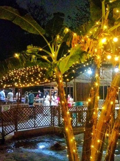 The farm lit up for an evening event. The natural beauty of the banana plants and the warm glow of the lights create a truly unique ambiance.