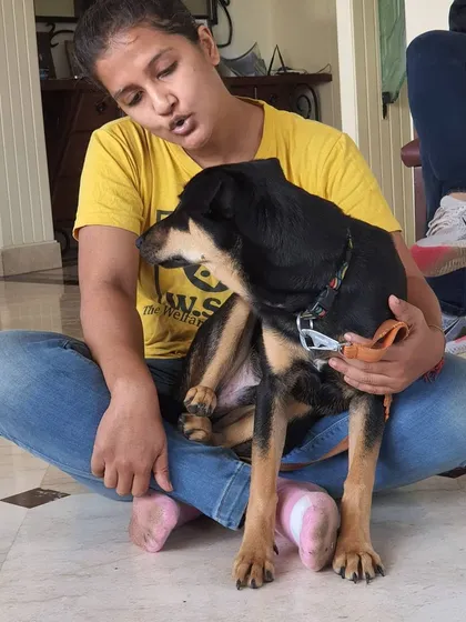 A student in my training course gets a comforting hug from a sweet Indie mix. Dogs have a way of making everyone feel at ease.