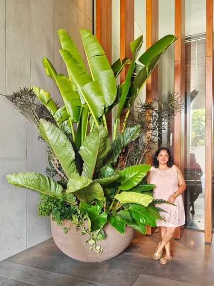 Signature Statement Plants photo 50