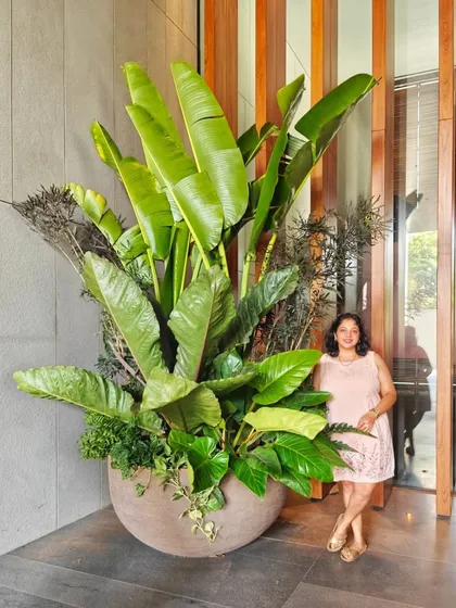 An oldie but a goodie! Our co-founder, Komal, posing proudly with one of her arrangements that truly screams "Go big or go home!" This massive cluster shows our love for creating bold, unforgettable plant statements.