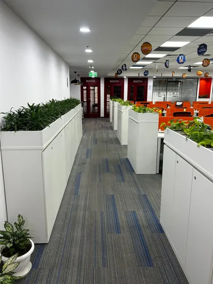This is a great example of how we use plants at scale to redefine a corporate environment. For our client Protiviti, we installed long rows of planters to line the main office corridor, creating a natural, green pathway that improves aesthetics and employee well-being.