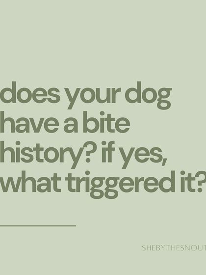 Aditi - In-Home Pet Sitting My Approach to Pet Sitting photo 18