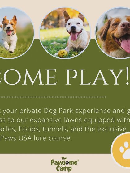 The Pawsome Camp - Dog Park & Pool Your Private Paw-ty: Bookings & Events photo 5