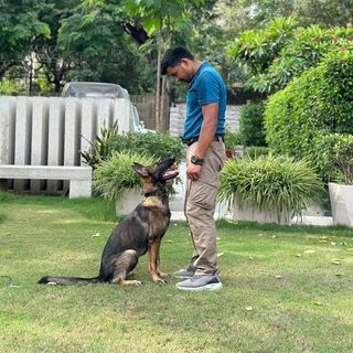 Mohit K9 Trainer