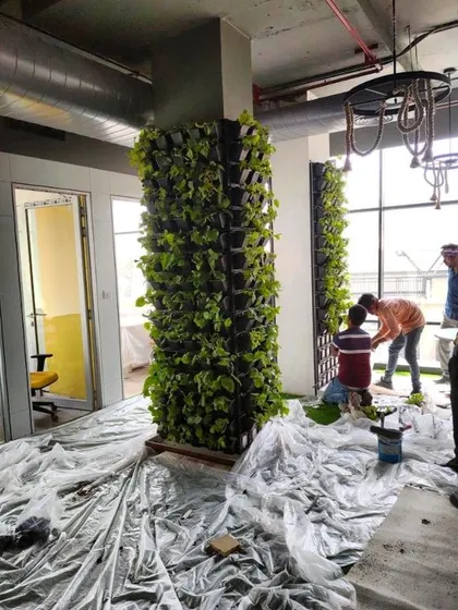 A behind-the-scenes look at a living wall installation in progress. Here, our team is setting up freestanding vertical garden pillars in an office space.