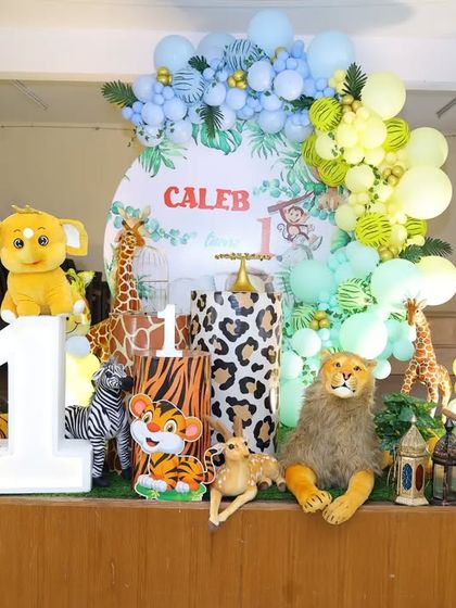 Jungle & Safari Adventures photo 16