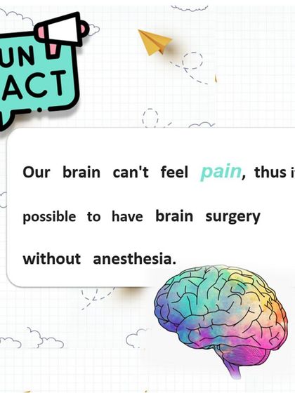 Fun Fact: Our brain can't feel pain because it has no pain receptors. This is why it's possible to perform brain surgery on a patient while they are awake.