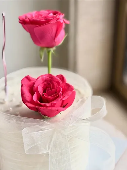 A close-up on the fresh pink roses and the delicate sheer ribbon, showcasing a soft and romantic aesthetic that's perfect for any celebration.