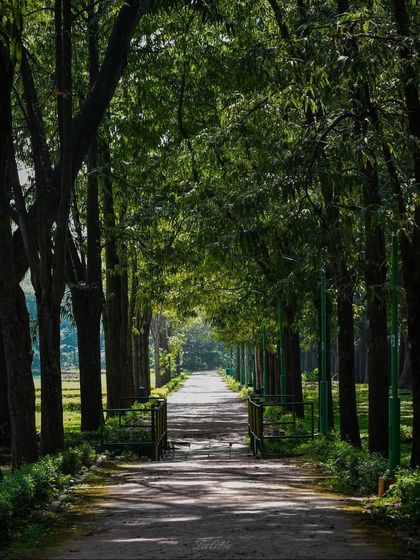 Lalith - Wildlife & Nature Photography My Journey into the Wild photo 10