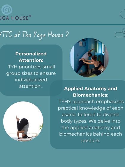 Two of our core pillars are personalized attention in small groups and a strong emphasis on applied anatomy and biomechanics. We ensure you understand how to tailor each posture to diverse body types safely.