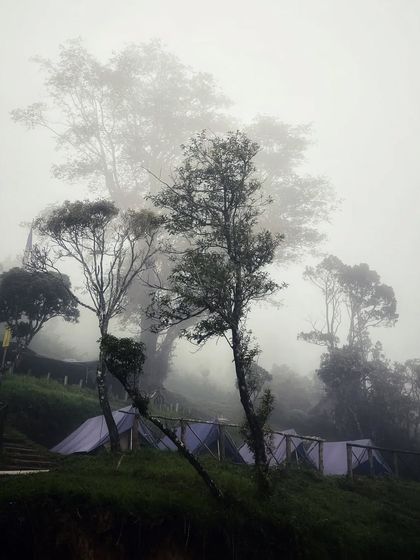 A moody, foggy day at the Munnar campsite, with tents barely visible through the mist.