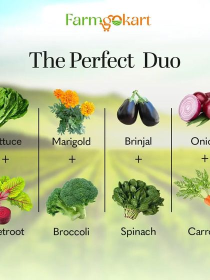 Grow Your Own Vegetables photo 22