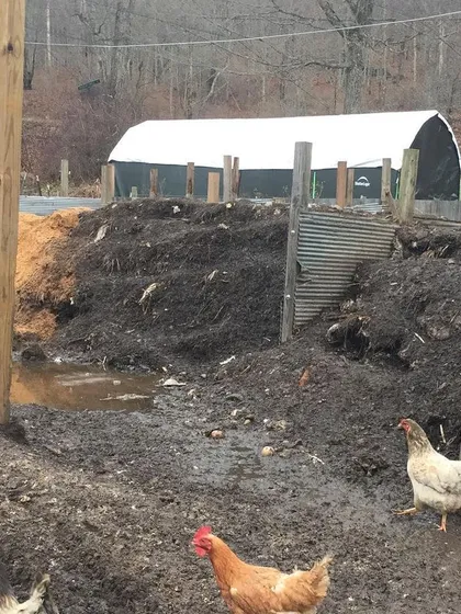 The downside of warm weather is mud. This image shows the drainage challenges we face on our land, an honest look at the less-than-perfect conditions we often work with.