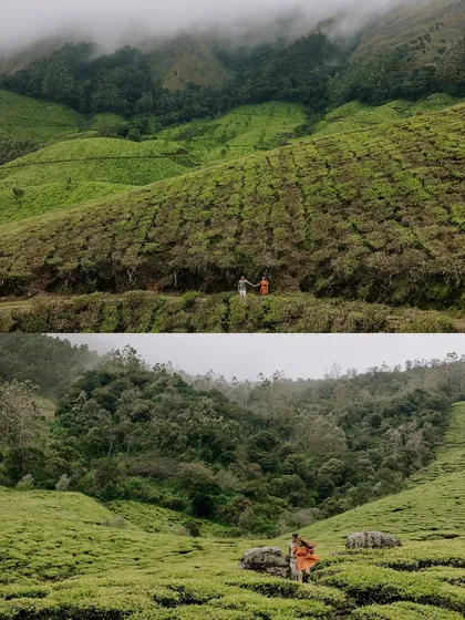 Two perspectives of the Munnar tea gardens. The top frame shows the couple as part of the landscape's pattern, while the bottom frame captures them in a more candid, walking pose within the vast greenery.