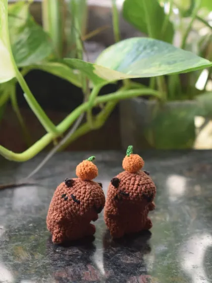 A pair of capybaras, each with a little orange on its head. This is a super cute and popular design, perfect as a desk buddy set.