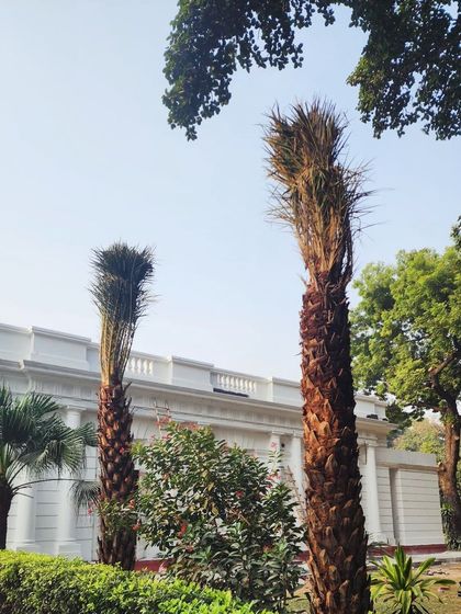 Delhi Gardner - Full-Service Landscaping Large-Scale Landscaping: Commercial & Residential Projects photo 49