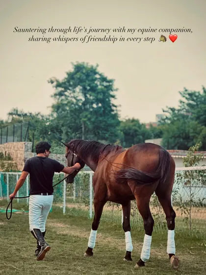 Finding the right horse is about building a partnership. This is the kind of soulful connection I help riders find, a bond that goes far beyond just time in the saddle.