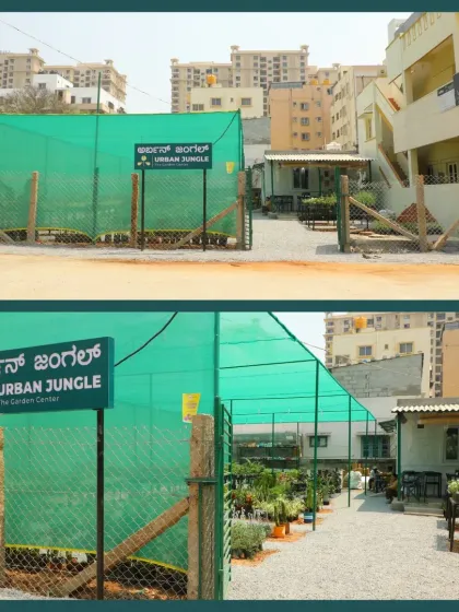 A before-and-after look at our garden center. It's amazing to see the transformation from an empty, fenced-in plot to the welcoming green entrance of Urban Jungle today.