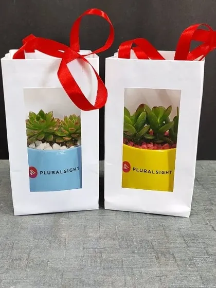 Our corporate gifts come beautifully packaged and ready to distribute. Here are two succulent gifts for Pluralsight, presented in white gift bags with a window and a red ribbon handle.