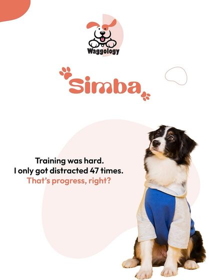 Here's Simba, who thinks getting distracted only 47 times during training is definite progress. And you know what? He's right! Every small step forward is a win.