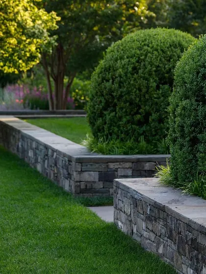 A low, rustic stone wall acts as a retaining wall for a raised lawn. The design incorporates perfectly spherical Buxus shrubs, adding a formal, sculptural element to the landscape.